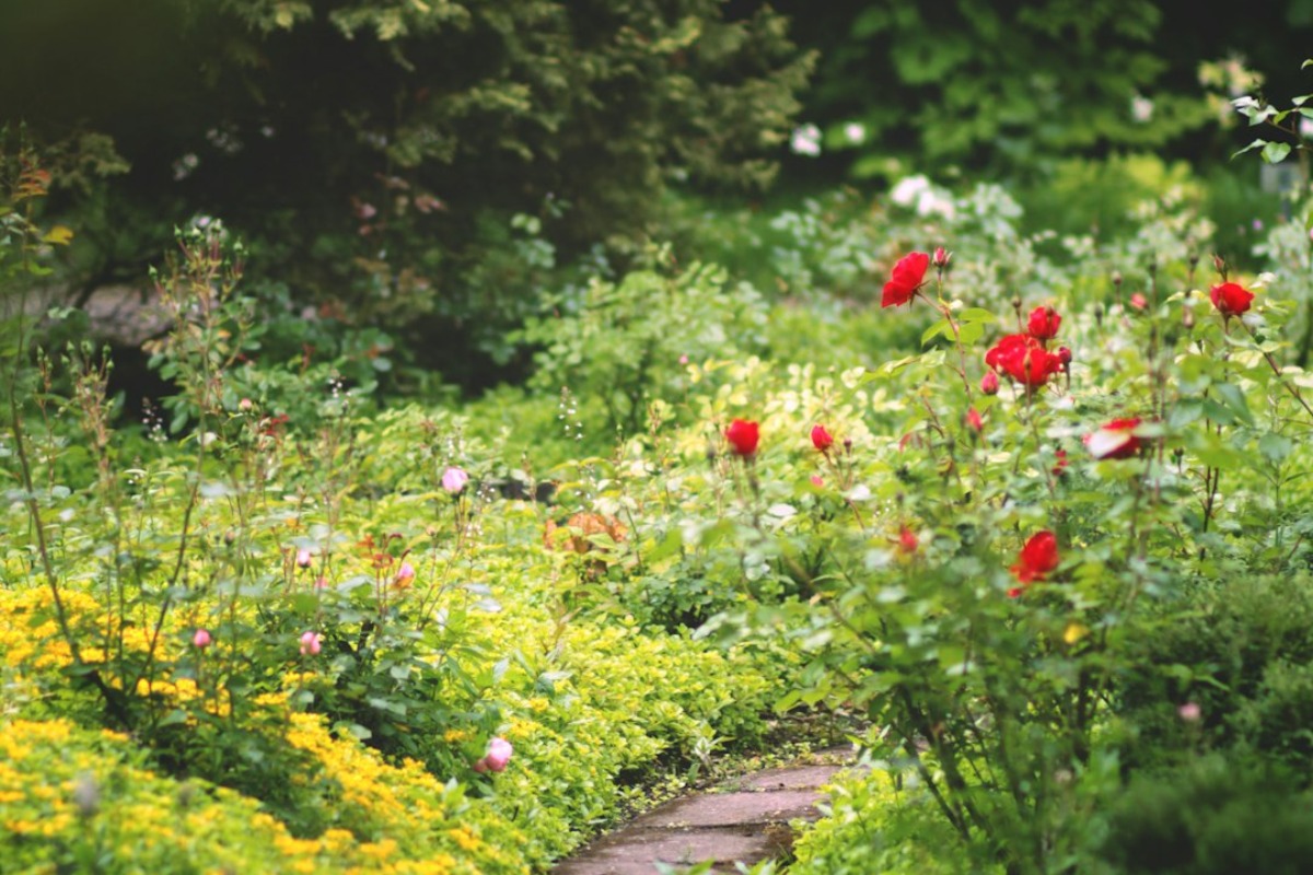 Titelbild zu „Den Garten einfacher bewässern – so können Sie vorgehen“