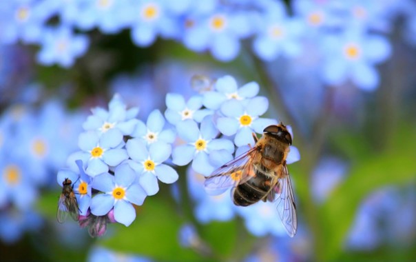 Balkon im Einklang mit der Natur gestalten: So geht es